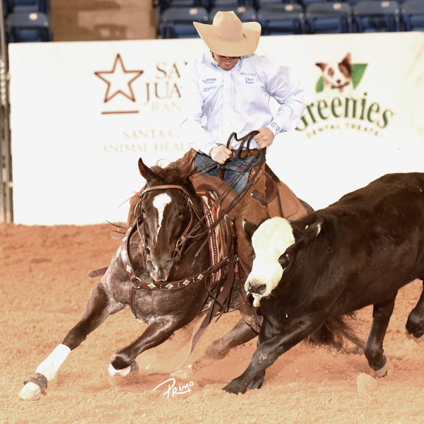 Edsall Hits $85,000 Jackpot In NRCHA Stakes – Metallic Cat